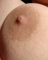 XX Cel - 88-St_006_p_088