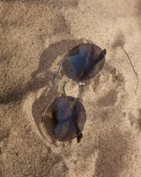 Zishy - 27-full_79_0006671174348